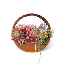 Plandálaithe Crochta Cruach Corten